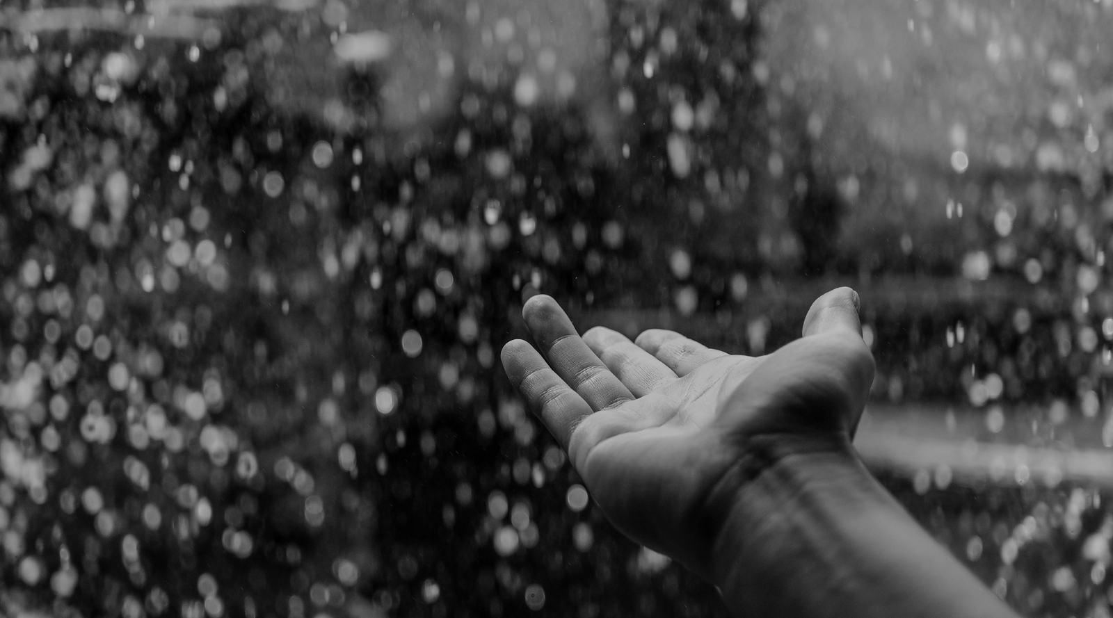 Rainwater Collection Done Right: Building Trust, Protecting Resources, and Maximizing Potential
