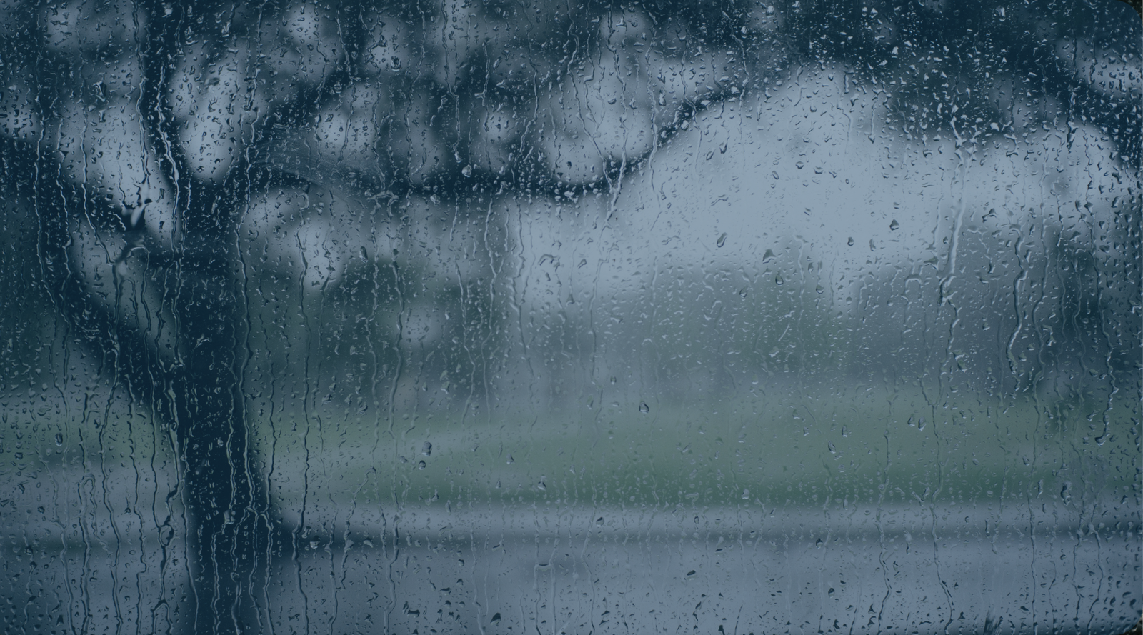 2025 Year-End Newsletter