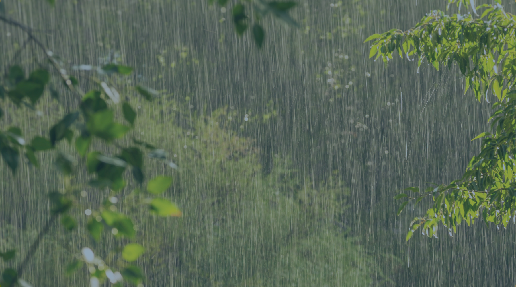 Rainwater Management Solutions, Inc. Announces Leadership Transition: Shawn Crawford Promoted to President; David Crawford to Continue as CEO and Chairman of the Board