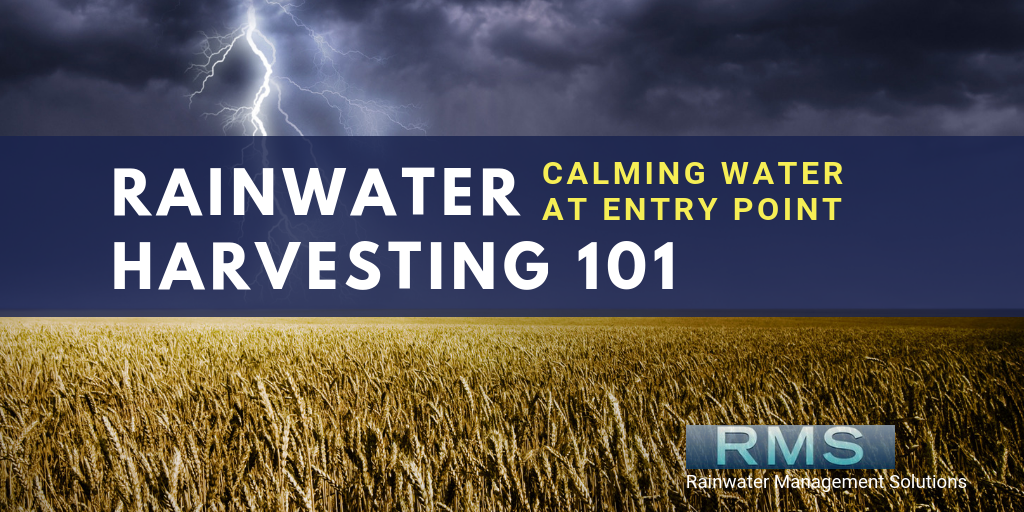 Rainwater Harvesting 101: Calming Water at Entry Point