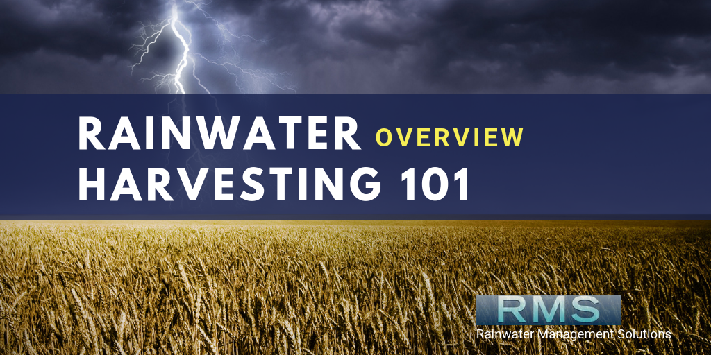 Rainwater Harvesting 101: Overview