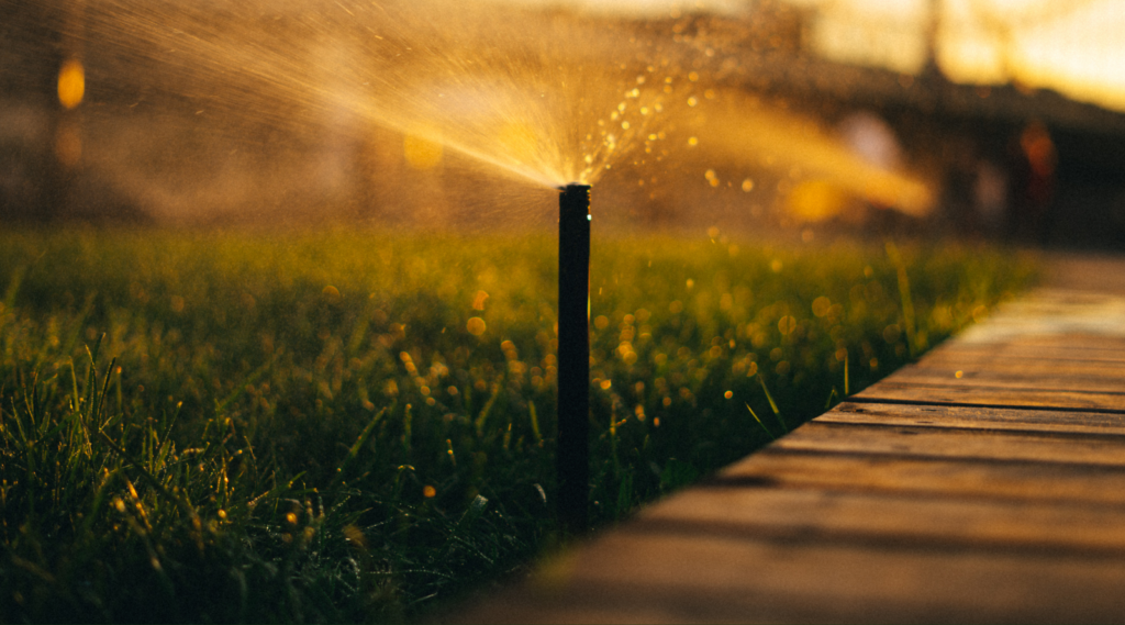 Rainwater Harvesting in Action: A Practical Response to Drought